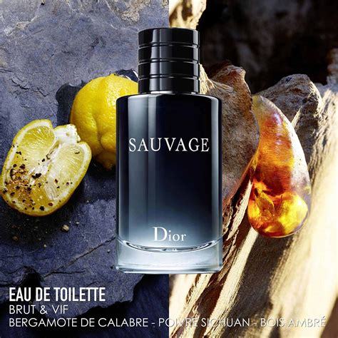 SAUVAGE EAU DE TOILETTE HOMBRE 